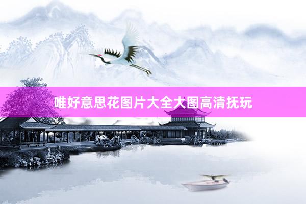 唯好意思花图片大全大图高清抚玩